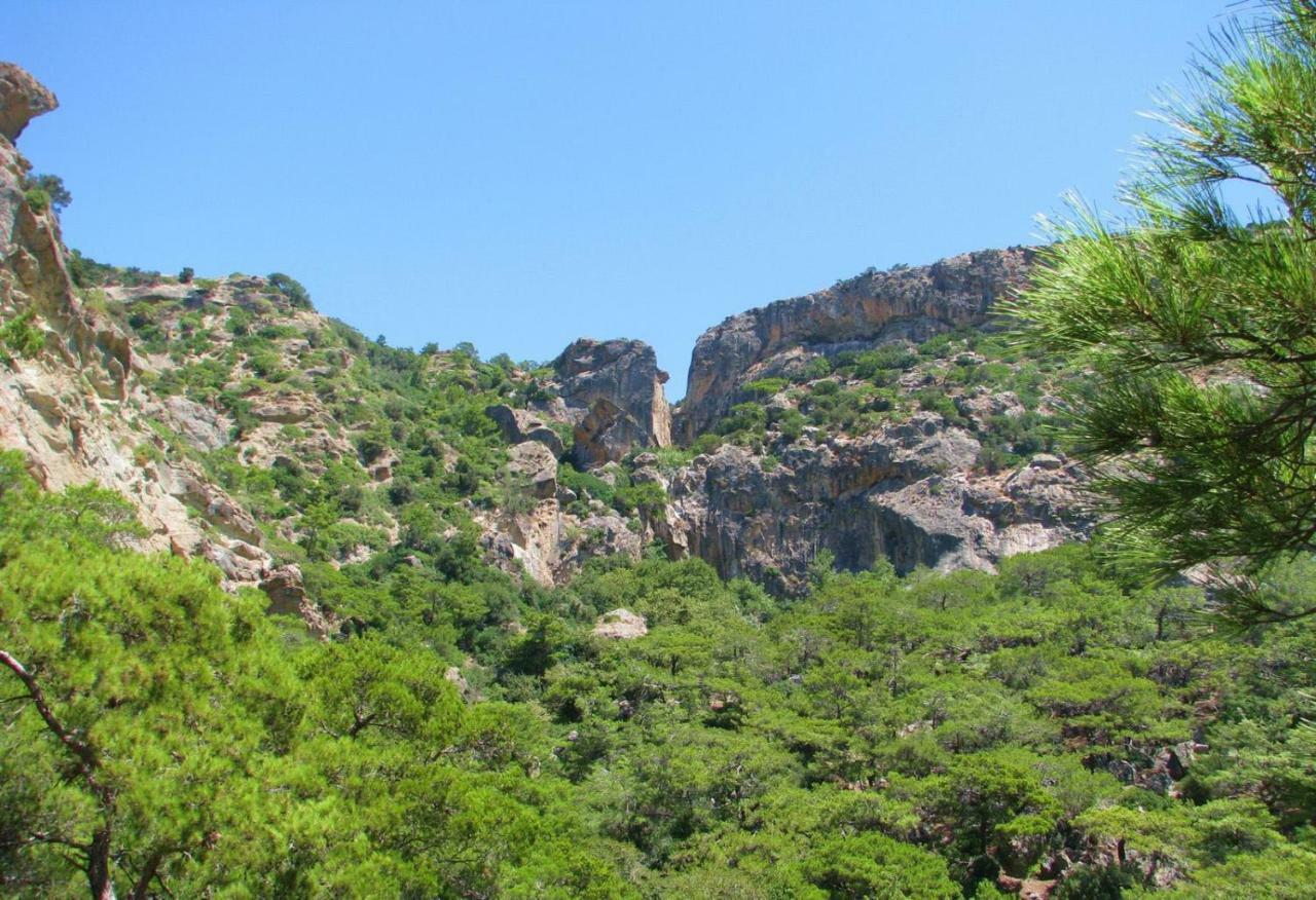 Villa Kalliopi Куцунари Екстериор снимка
